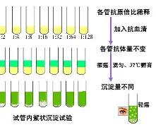 包含官方：孙兴慜首轮对皇社确定将的词条