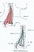 关于德布劳内高分数据敲定后续来了的信息 关于德布劳内高分数据敲定后续来了的信息